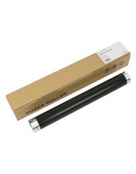 N/A,AE011135